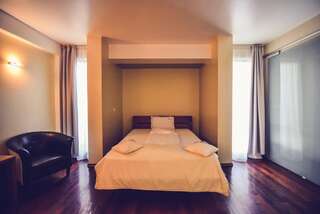 Отель Hotel Spa Ice Resort Тимишоара Стандартный двухместный номер с 1 кроватью 3*-3