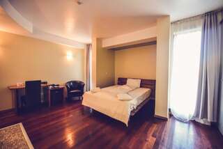 Отель Hotel Spa Ice Resort Тимишоара Стандартный двухместный номер с 1 кроватью 3*-4